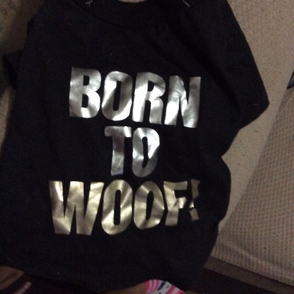 Dog items bundle - Picture 3 of 3